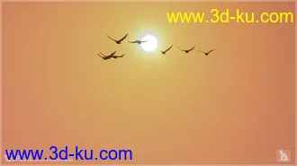 3D打印模型iREAL Animated Flocks of Birds的图片