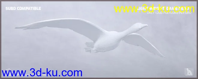 iREAL Animated Flocks of Birds模型的图片10