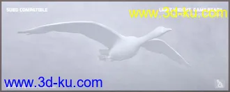 3D打印模型iREAL Animated Flocks of Birds的图片
