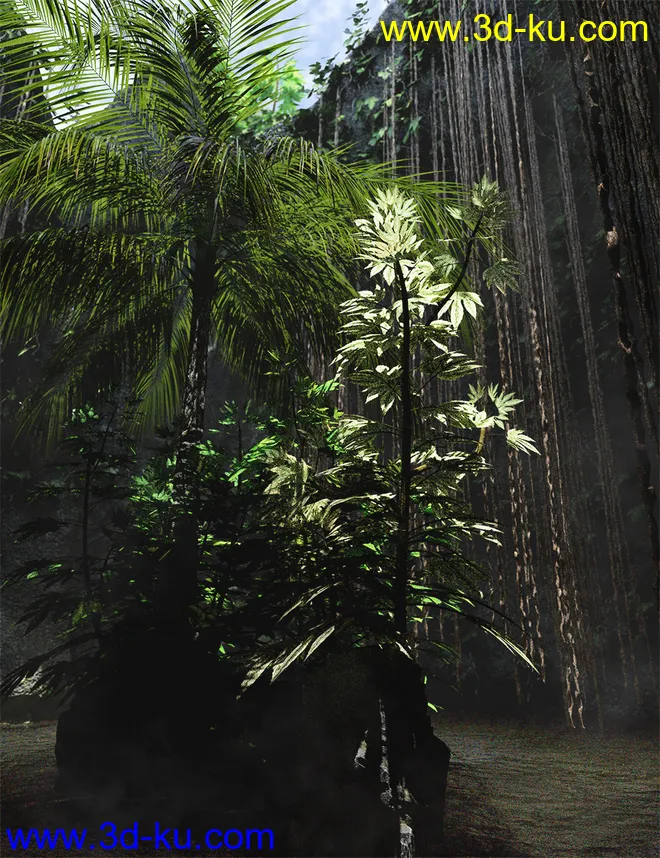 Japanese Aralia - Tropical Shrubs and Foliage模型的图片2