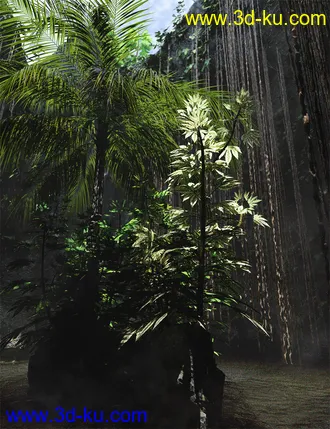 3D打印模型Japanese Aralia - Tropical Shrubs and Foliage的图片