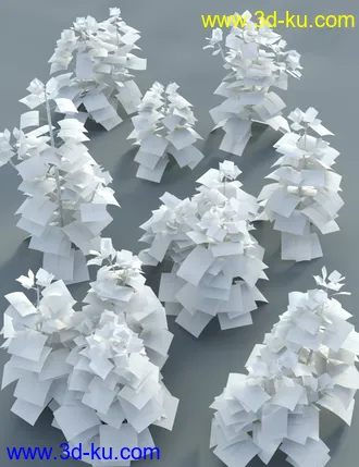 3D打印模型Japanese Aralia - Tropical Shrubs and Foliage的图片