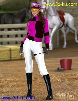 3D打印模型Jockey Set的图片