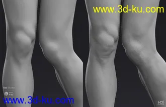 3D打印模型Juan Carlos 8 HD Add-On的图片