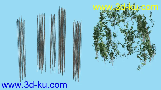 Jungle Pool模型的图片6