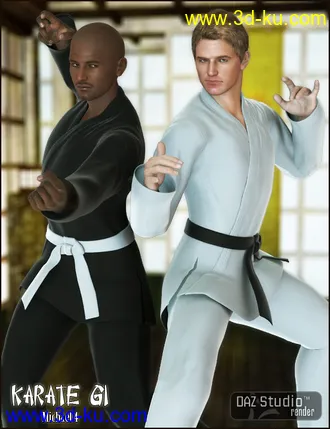 3D打印模型Karate Gi M4的图片