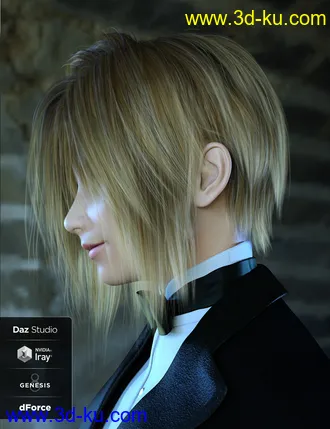 3D打印模型Kenji Hair for Genesis 8的图片