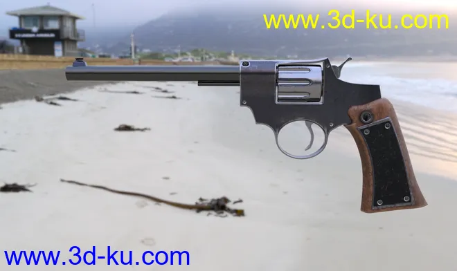 Lady Revolvers and Poses for Genesis 8 Female(s)模型的图片2
