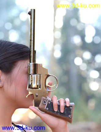 3D打印模型Lady Revolvers and Poses for Genesis 8 Female(s)的图片