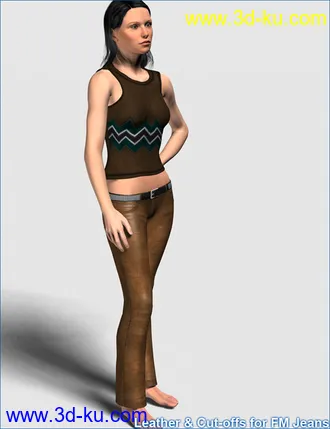3D打印模型Leather and Cut-offs for FM Jeans的图片