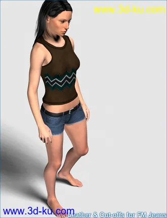 3D打印模型Leather and Cut-offs for FM Jeans的图片