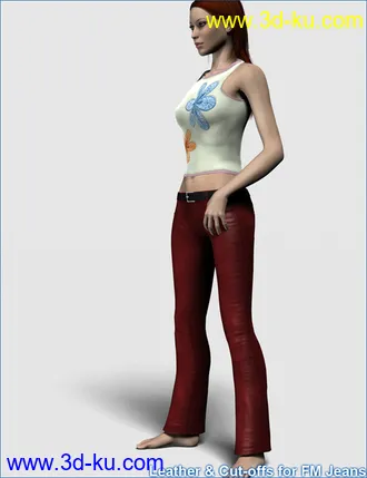 3D打印模型Leather and Cut-offs for FM Jeans的图片