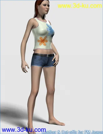 3D打印模型Leather and Cut-offs for FM Jeans的图片