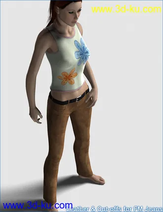 3D打印模型Leather and Cut-offs for FM Jeans的图片