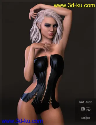 3D打印模型Leighton HD for Leisa 8的图片