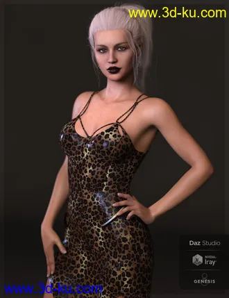 3D打印模型Leighton HD for Leisa 8的图片