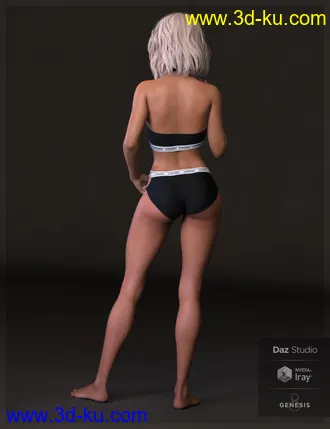 3D打印模型Leighton HD for Leisa 8的图片