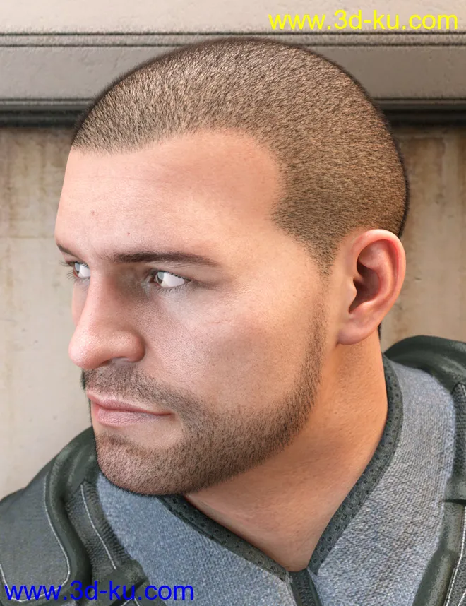 LI Crew Cut Hair for Genesis 8 Male(s)模型的图片2