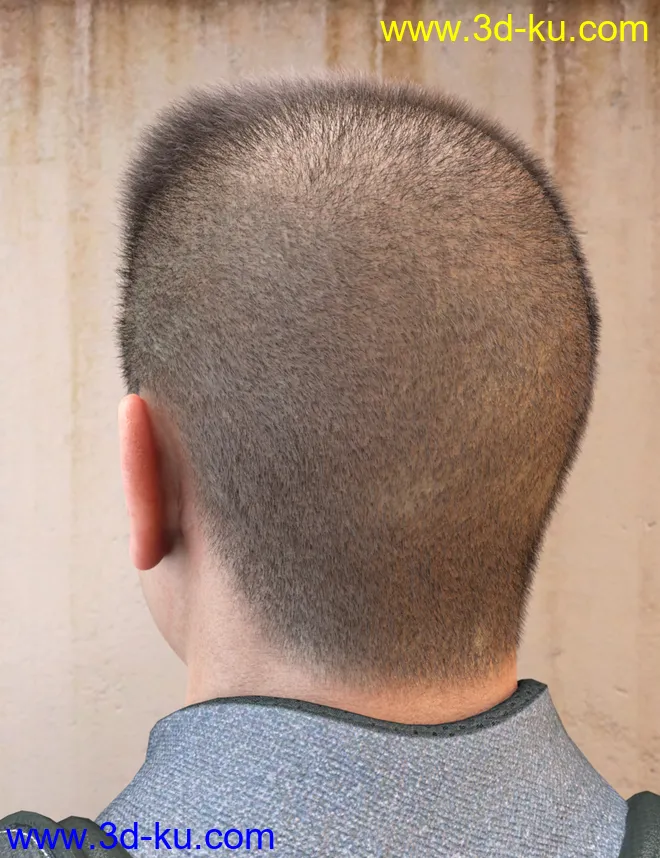 LI Crew Cut Hair for Genesis 8 Male(s)模型的图片3