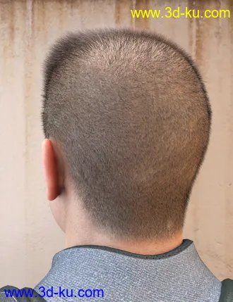 3D打印模型LI Crew Cut Hair for Genesis 8 Male(s)的图片