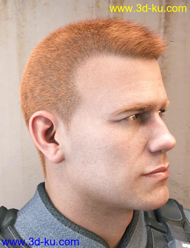 LI Crew Cut Hair for Genesis 8 Male(s)模型的图片4