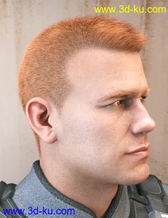 3D打印模型LI Crew Cut Hair for Genesis 8 Male(s)的图片