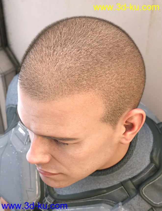 LI Crew Cut Hair for Genesis 8 Male(s)模型的图片6