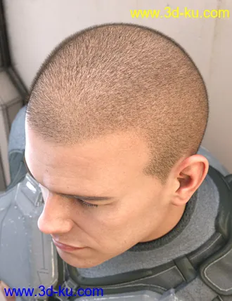 3D打印模型LI Crew Cut Hair for Genesis 8 Male(s)的图片