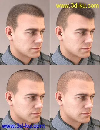 3D打印模型LI Crew Cut Hair for Genesis 8 Male(s)的图片