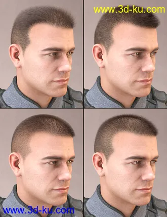 3D打印模型LI Crew Cut Hair for Genesis 8 Male(s)的图片