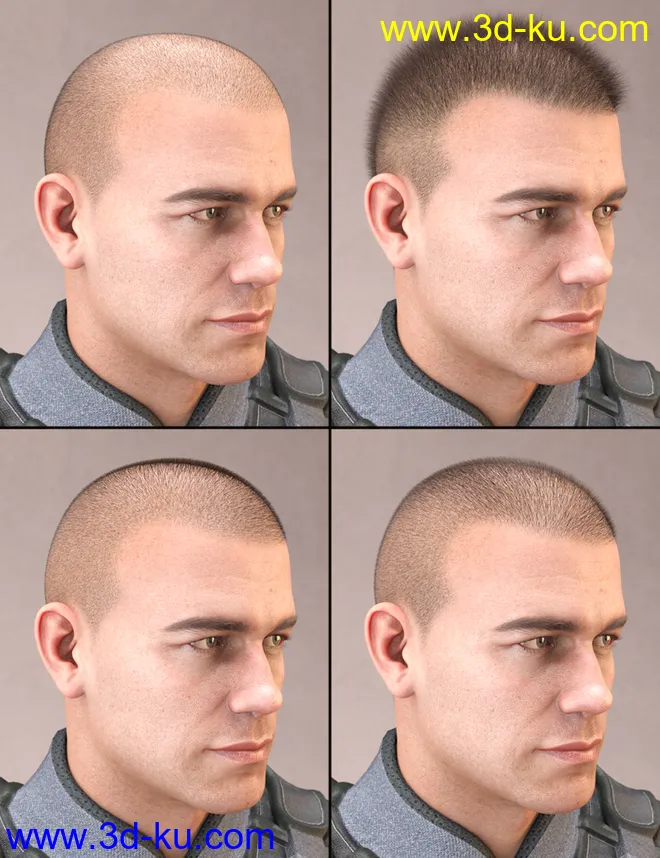 LI Crew Cut Hair for Genesis 8 Male(s)模型的图片11