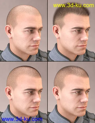 3D打印模型LI Crew Cut Hair for Genesis 8 Male(s)的图片
