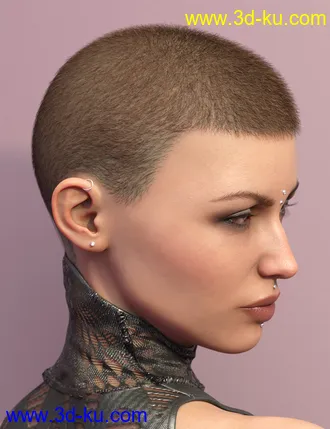 3D打印模型LI La Femme Hair for Genesis 8 Female(s)的图片