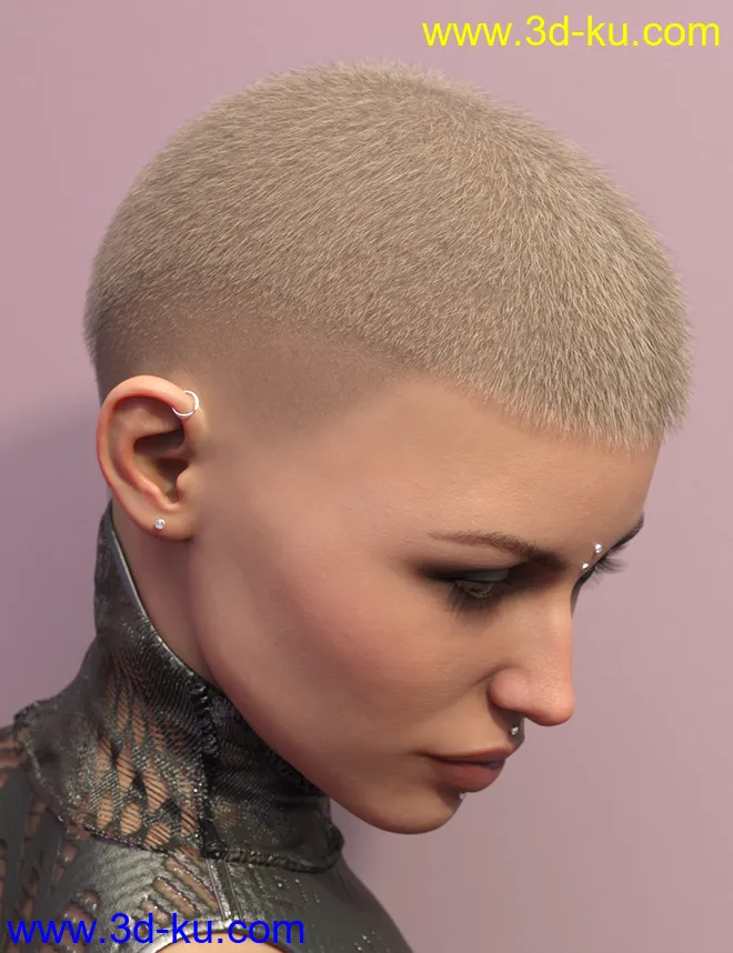 LI La Femme Hair for Genesis 8 Female(s)模型的图片5