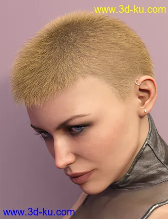 3D打印模型LI La Femme Hair for Genesis 8 Female(s)的图片