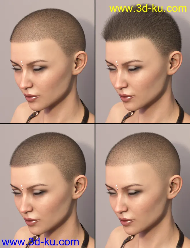 LI La Femme Hair for Genesis 8 Female(s)模型的图片8