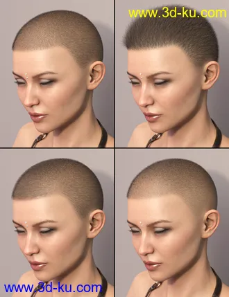 3D打印模型LI La Femme Hair for Genesis 8 Female(s)的图片