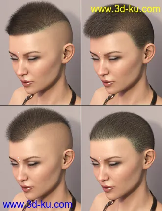 3D打印模型LI La Femme Hair for Genesis 8 Female(s)的图片