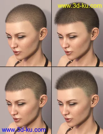 3D打印模型LI La Femme Hair for Genesis 8 Female(s)的图片