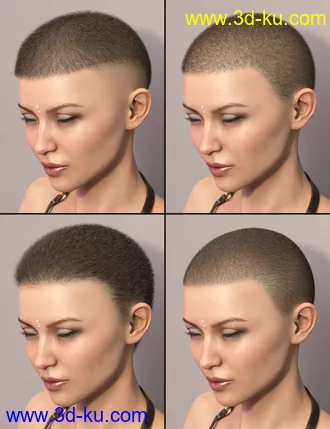 3D打印模型LI La Femme Hair for Genesis 8 Female(s)的图片