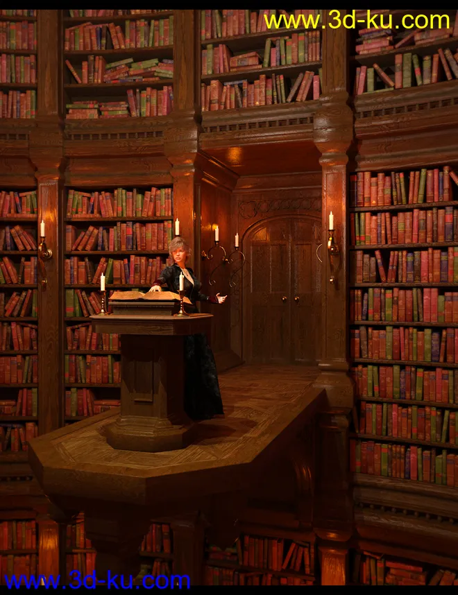 Library of Wizardry模型的图片1