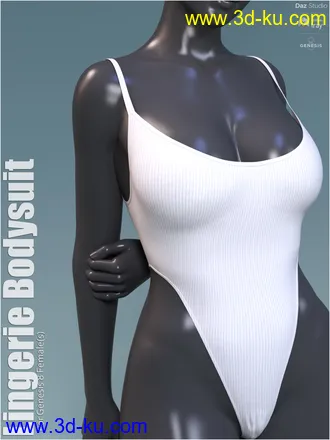 3D打印模型Lingerie Bodysuit的图片