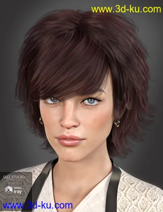 3D打印模型Lissa Hair for Genesis 8 Females的图片