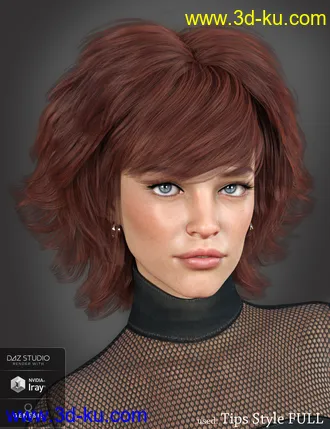 3D打印模型Lissa Hair for Genesis 8 Females的图片