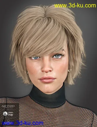 3D打印模型Lissa Hair for Genesis 8 Females的图片