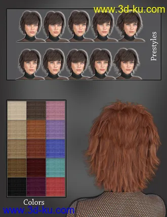 3D打印模型Lissa Hair for Genesis 8 Females的图片