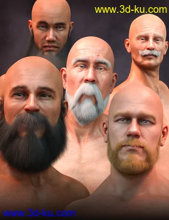 3D打印模型Long and Full Beards Set Hair for Genesis 8 Male的图片