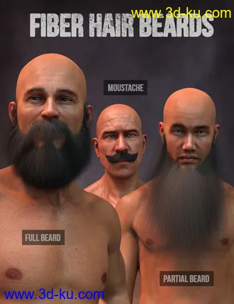 3D打印模型Long and Full Beards Set Hair for Genesis 8 Male的图片
