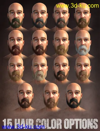 3D打印模型Long and Full Beards Set Hair for Genesis 8 Male的图片