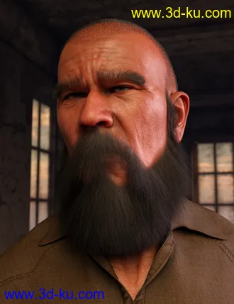 3D打印模型Long and Full Beards Set Hair for Genesis 8 Male的图片